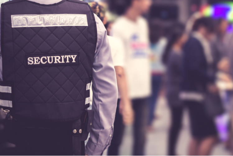 Security Officer at a Sports Event